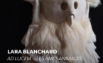 Exposition "Ad Lucem - Les âmes animales" de Lara Blanchard - Una Volta - Bastia