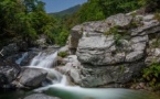Découverte di U Travu, rivière sauvage : sa faune, sa flore - Centru Culturale Fiori di Lumi - Chisa