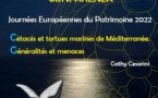 Journées Européennes du Patrimoine au Musée de l'Alta Rocca : Conférence de Cathy Cesarini "Cétacés et tortues marines de Méditerranée-Généralités et menaces" - Levie 