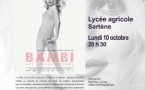 Cinédoc / CORSICADOC → Projection du film documentaire  "Bambi" de Sebastien Lifshitz  en présence de Mathieu Lericq programmateur de festival et critique de cinéma - Lycée agricole de Sartène 