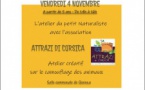 Atelier du petit Naturaliste animé par l’association « Attrazi di Corsica » - Salle communale - Quenza