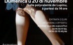 Animazione « Thé dansant » - Salle polyvalente - Lupinu