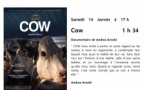 Ciné - Débat proposé par CORSICADOC "Cow" et animé par Julie Perreard - Salle Maistrale - Marignana