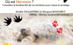 Conférence  « Où est Hermann ? Connaître la biodiversité de son territoire pour mieux la protéger »  animée par Amélie Tagliaferro et Morgane Bouvarot (DREAL) - Musée de l'Alta Rocca - Levie 
