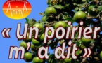 Conte musical « Un poirier m’a dit » - Salle Cardiccia - I Prunelli di Fiumorbu