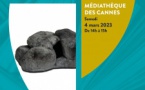 Atelier créatif "Chasse aux roches lunaires" - Médiathèque des Cannes - Aiacciu