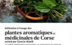 Initiation pour adultes à l'usage des plantes aromatiques et médicinales de Corse avec Cencio Attelli - Médiathèque Barberine Duriani - Bastia