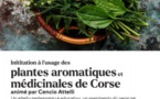 Initiation pour adultes à l'usage des plantes aromatiques et médicinales de Corse avec Cencio Attelli - Médiathèque Barberine Duriani - Bastia