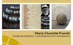 Conférence autour des artistes de l’Arte Povera animée par Marie Charlotte Franchi, Chargée de médiation au Frac CORSICA - Palais Fesch - Aiacciu