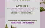 Ateliers d'éducation sensorielle à partir de plantes aromatiques et médicinales animés par Cencio Attelli  - Médiathèque - Pitrusedda