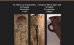 Visite guidée par un guide-conférencier « Sur les pas de nos ancêtres » - Musée de l'Alta Rocca - Livia