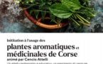Atelier de découverte des plantes de Corse - Mediateca Centru Cità - Bastia