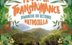 4ème édition de la Fête de la transhumance - Pitrusedda