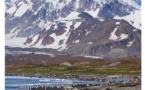 Exposition de photographies d'Izabela Ciesla-Lannoy : "Biodiversité" - Galerie Archipel / Citadelle Miollis - Aiacciu
