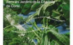 Fête des plantes : une journée autour des fibres végétales avec Garance Maurer - Jardins de la Citadelle - Corti