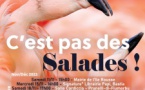 Conférence / Dédicace "C'est pas des Salades!" avec Fabrice Fenouilliere- CCU Spaziu Natale Luciani - Corti