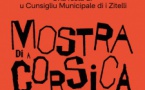 L’Exposition de la Corse, Un projet du CME - Salle polyvalente - Lupinu