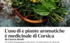 Atelier de découverte des plantes de Corse - Mediateca Centru Cità - Bastia