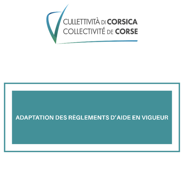 Adaptation des règlements d’aide en vigueur à l’attention des associations Adaptation des règlements d’aide en vigueur à l’attention des associations