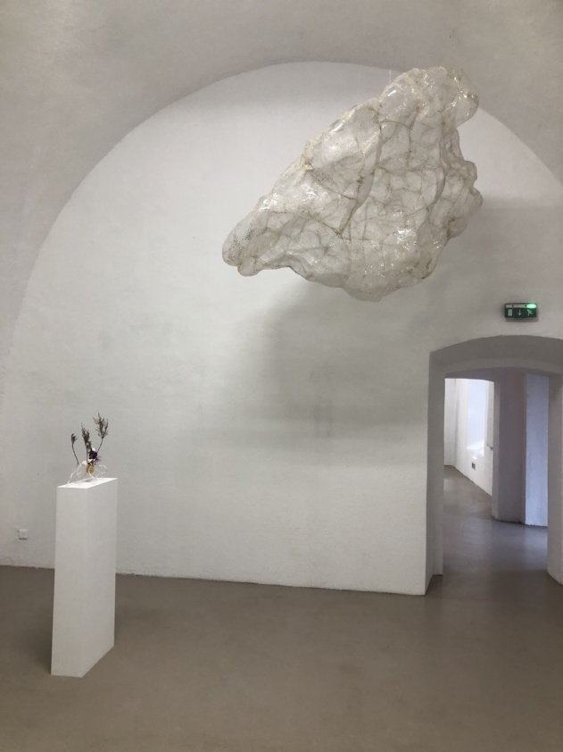 Retrouvez en images une action de médiation du FRAC Corsica autour de l'exposition « I’ve seen things you people wouldn’t believe » 