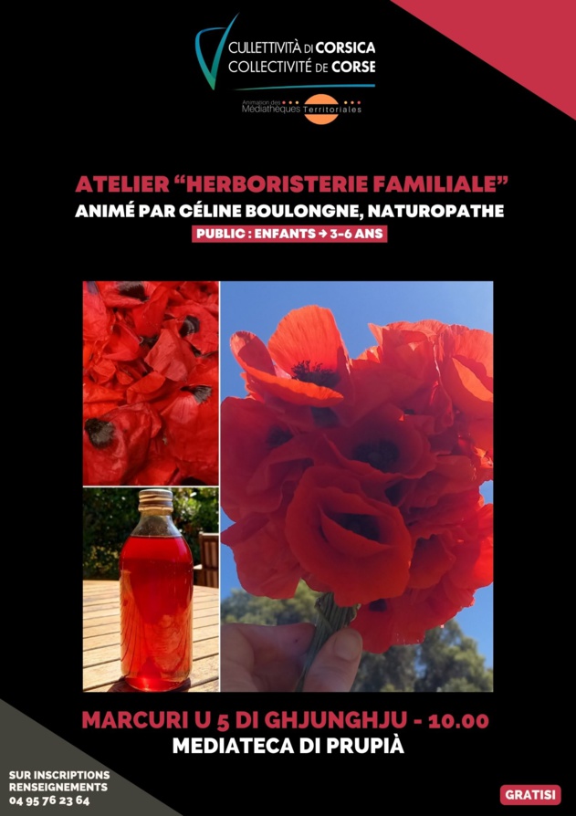 "Herboristerie familiale" atelier animé par Céline Boulongne, naturopathe - Mediateca di Prupià