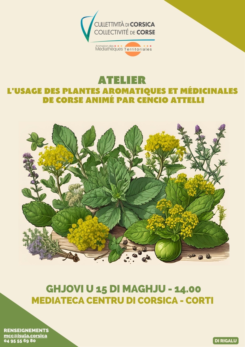 Atelier : L'usage des plantes aromatiques et médicinales de Corse animé par Cencio Attelli - Mediateca Centru di corsica - Corti 