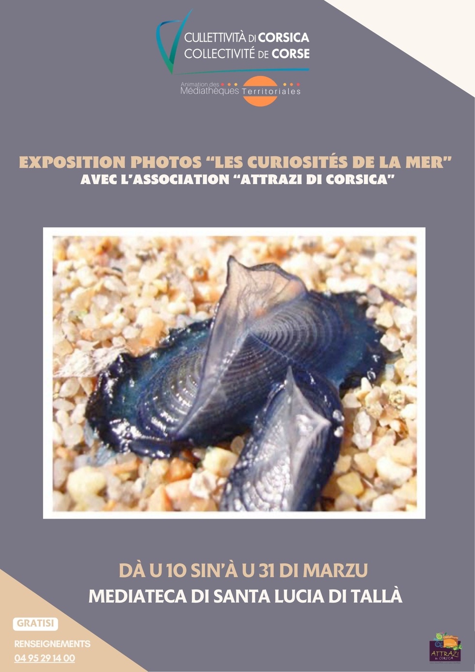 Exposition photos « Les curiosités de la Mer » avec l’association « Attrazi di Corsica » - Mediateca territuriale di Santa Lucia di Tallà Exposition photos « Les curiosités de la Mer » avec l’association « Attrazi di Corsica » - Mediateca territuriale di Santa Lucia di Tallà