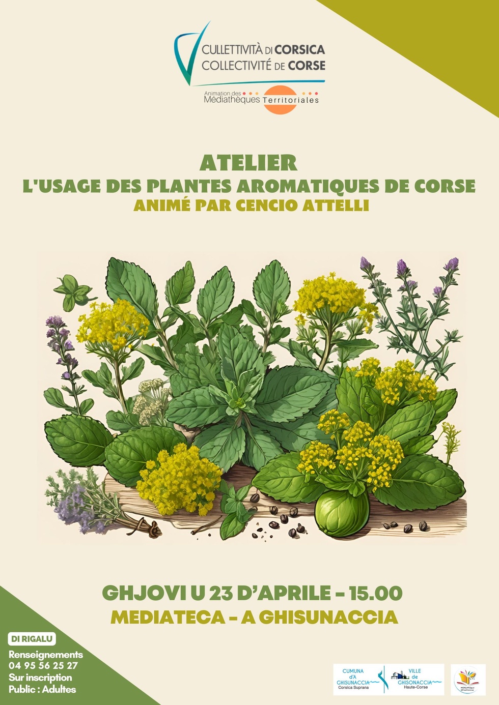 Atelier : L'usage des plantes aromatiques de Corse animé par Cencio Attelli - Mediateca - A Ghisunaccia