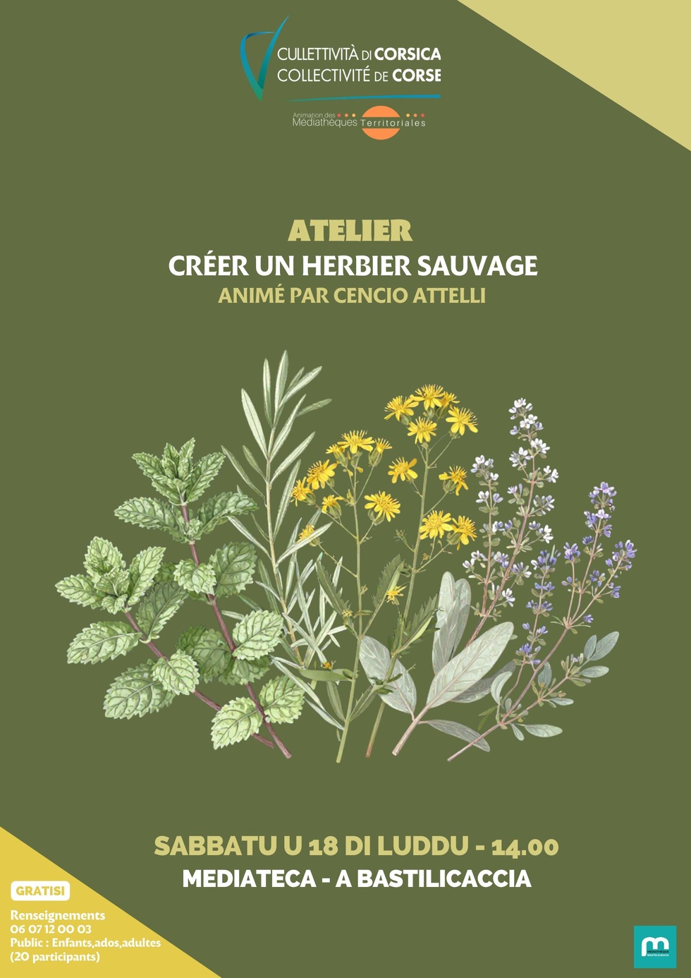 Atelier « Créer un herbier sauvage » animé par Cencio Attelli - Mediateca - A Bastilicaccia Atelier « Créer un herbier sauvage » animé par Cencio Attelli - Mediateca - A Bastilicaccia