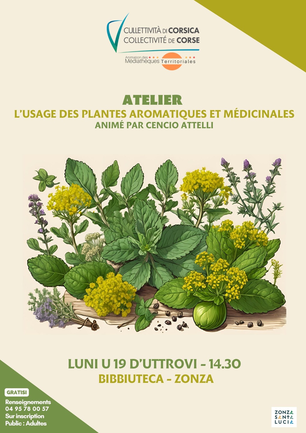 Atelier « L’usage des plantes aromatiques et médicinales » animé par Cencio Attelli - Bibbiuteca di Zonza