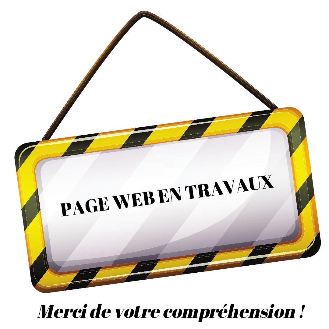 RÈGLEMENT DES AIDES POUR LA CULTURE SECTEUR DES ARTS VISUELS
