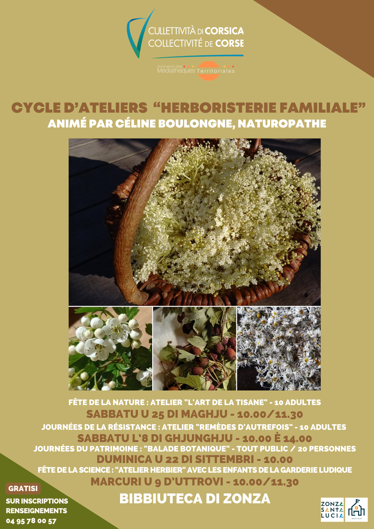 Cycle d'ateliers "Herboristerie familiale" animés par Céline Boulongne, naturopathe - Bibbiuteca di Zonza