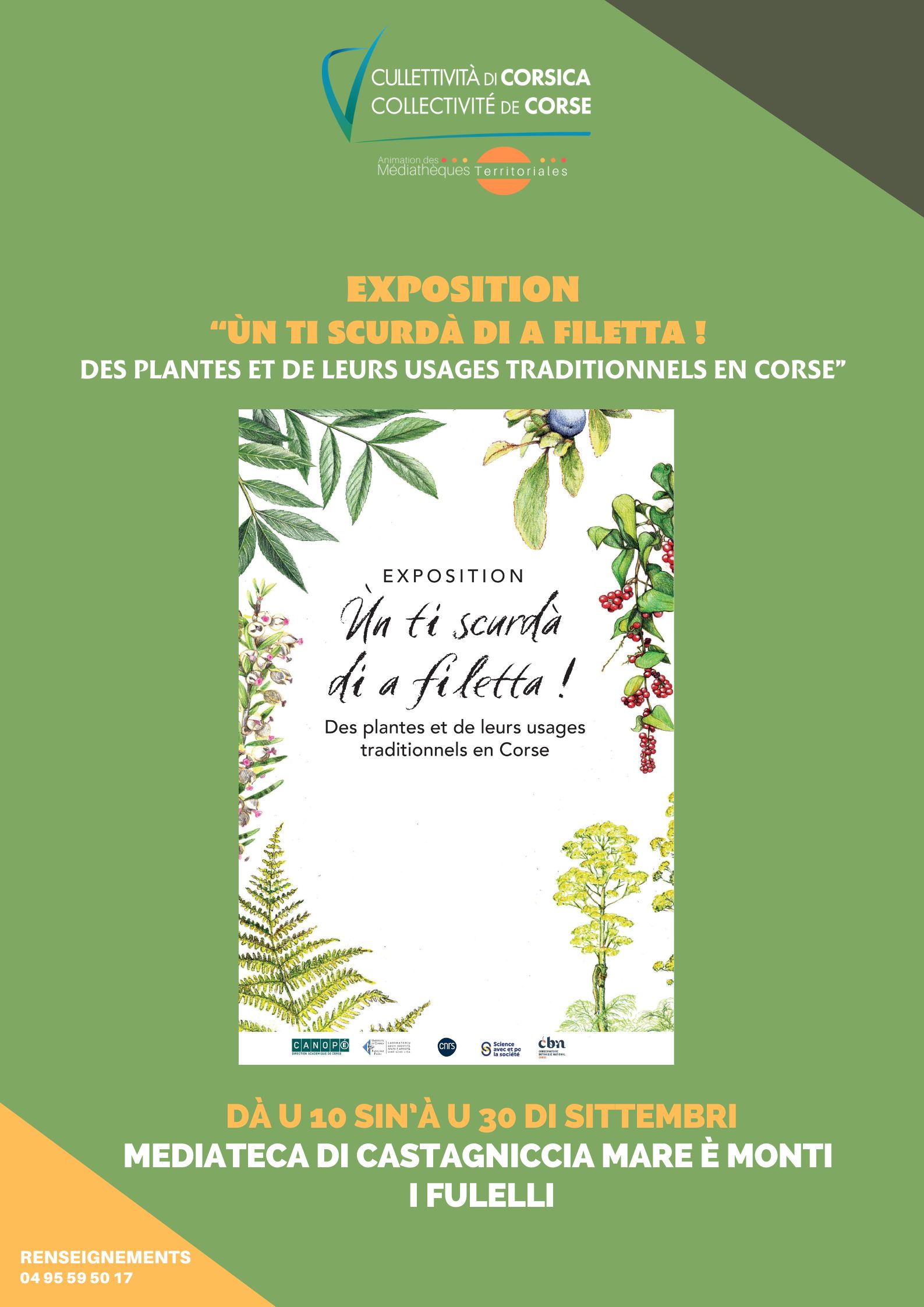 Exposition "Ùn ti scurdà di a filetta ! Des plantes et de leurs usages traditionnels en Corse" - Médiathèque de Castagniccia Mare et Monti - I Fulelli 
