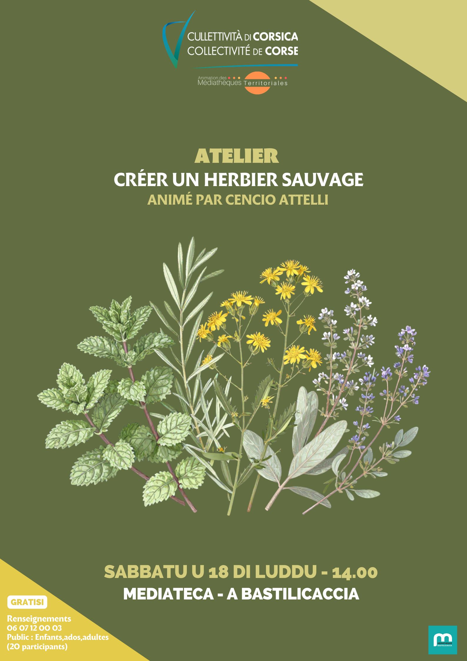 Atelier « Créer un herbier sauvage » animé par Cencio Attelli - Mediateca - A Bastilicaccia