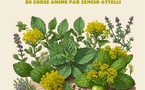 Atelier : L'usage des plantes aromatiques et médicinales de Corse animé par Cencio Attelli - Mediateca Centru di corsica - Corti 