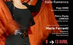 Scontru Flamenco 5e édition :  Initiation et Master Class (Danse, Chant) proposées par l'association Bastiaise Arte Flamenco - Una Volta / Centre Culturel Carlu Rocchi - Bastia/ Biguglia 