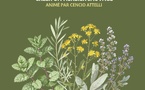 Atelier « Créer un herbier sauvage » animé par Cencio Attelli - Mediateca - A Bastilicaccia