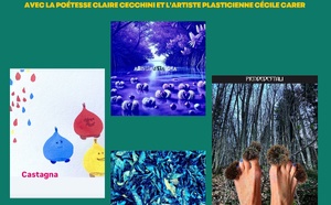 Retour en images : Restitution de la résidence partagée de création artistique autour de la Création d’un livre objet animé avec la poétesse Claire Cecchini et l’artiste plasticienne Cécile Carer - Médiathèque de Castagniccia Mare è Monti - I Fulelli
