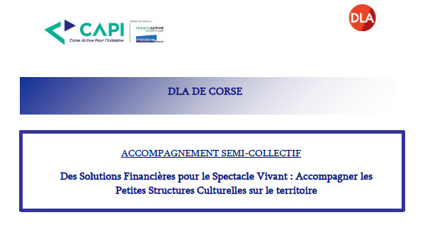 CAPI - DLA semi-collectif « Des Solutions Financières pour le Spectacle Vivant »