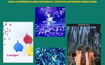 Retour en images : Restitution de la résidence partagée de création artistique autour de la Création d’un livre objet animé avec la poétesse Claire Cecchini et l’artiste plasticienne Cécile Carer - Médiathèque de Castagniccia Mare è Monti - I Fulelli