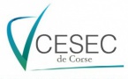 CONTRIBUTION DU CESEC relative au RAPPORT D'ORIENTATION SUR LA POLITIQUE LINGUISTIQUE