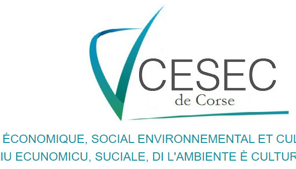 CONTRIBUTION DU CESEC relative au RAPPORT D'ORIENTATION SUR LA POLITIQUE LINGUISTIQUE