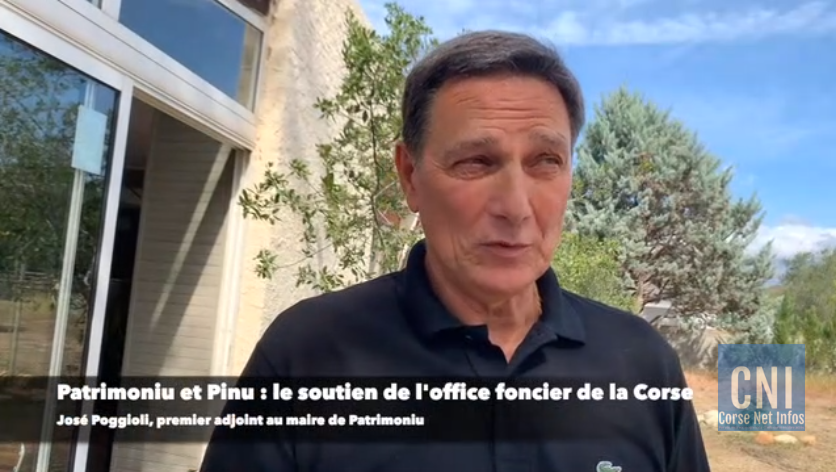 Lien de la vidéo