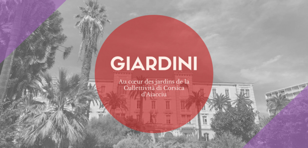 I Giardini | Les Jardins de la Collectivité de Corse mis en valeur virtuellement I Giardini | Les Jardins de la Collectivité de Corse mis en valeur virtuellement