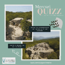 Les quizz du confinement Les quizz du confinement