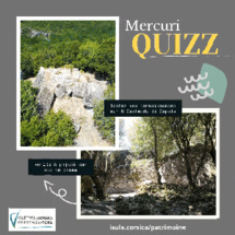 Les quizz du confinement Les quizz du confinement