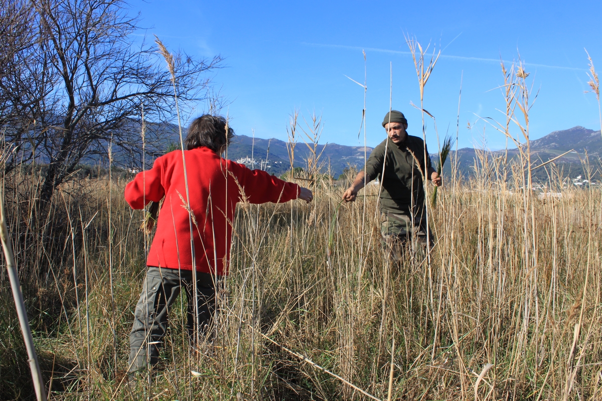 Le Patrimoine culturel immatériel Le Patrimoine culturel immatériel