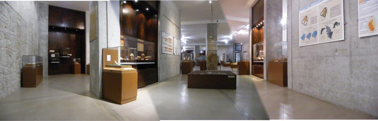 Les temps géologiques Les temps géologiques