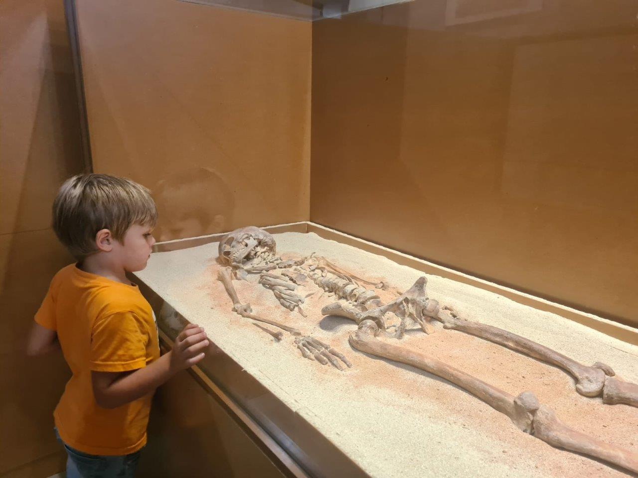 La Dame de Bonifacio La Dame de Bonifacio