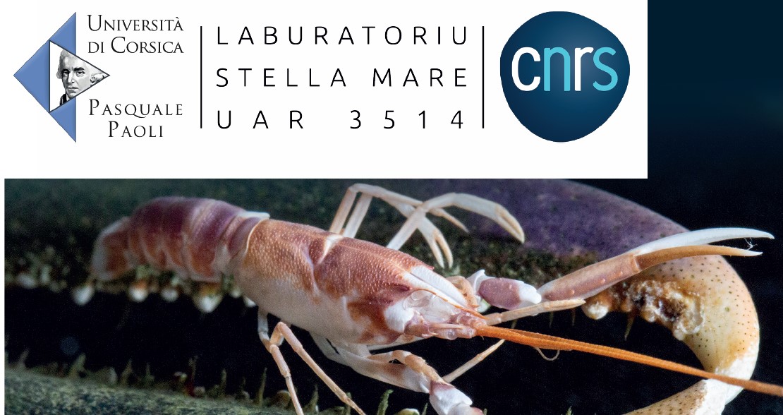 Escale à Sète, le village corse Escale à Sète, le village corse